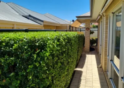 Sky’s The Limit Gardens