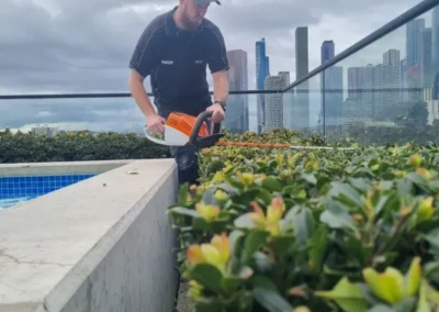 Sky’s The Limit Gardens